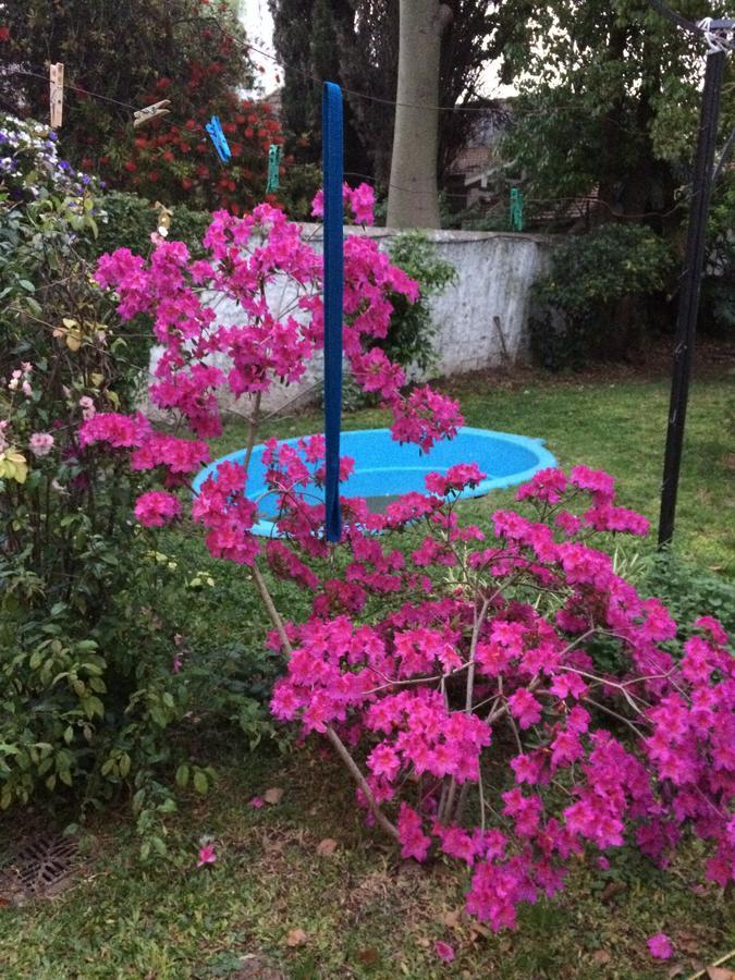 B&B Polo (Adults Only) Villa Maipu Bagian luar foto
