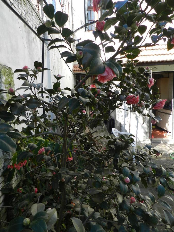 B&B Polo (Adults Only) Villa Maipu Bagian luar foto